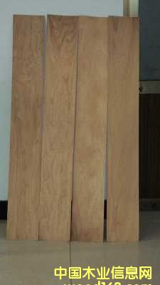 ��ľ�ذ����  ����Ԕ��(x��)��B