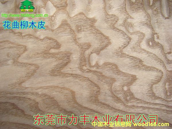 ������ľƤ