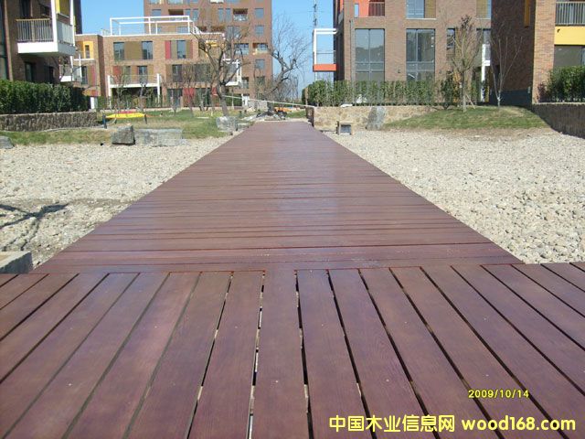 ��������ľ�ذ��Ԕ����B