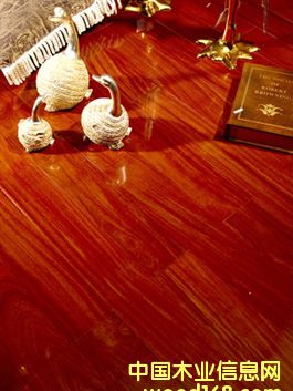 ��լ�������P̴�ذ�