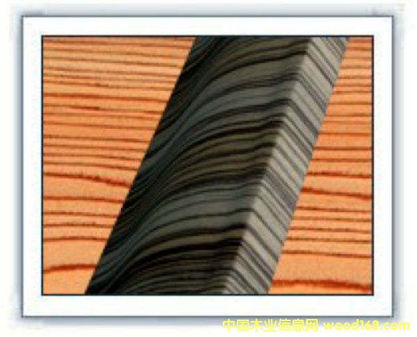 �o����ľƤ