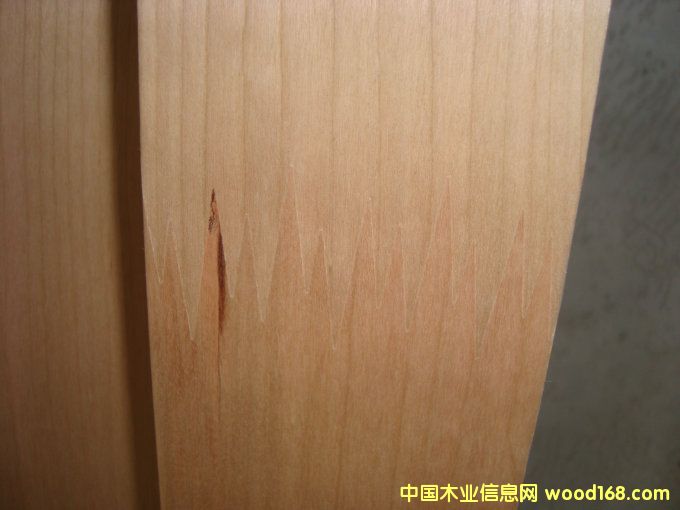 ��Ƥ����Ƭ