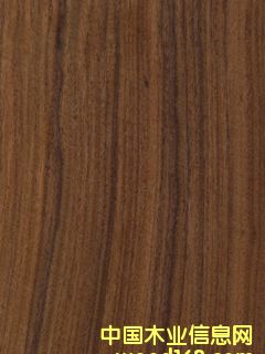 �����b�ľƤ