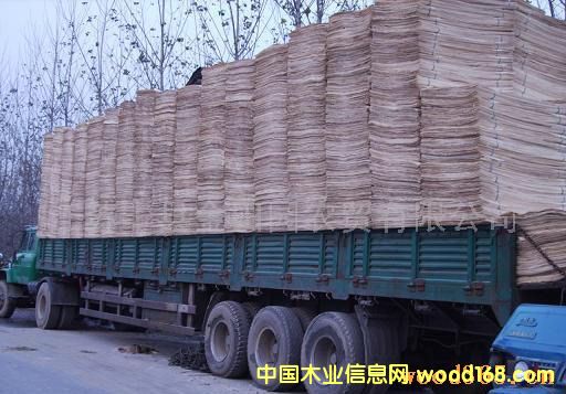 ��ľƤ�ӵ�Ԕ��(x��)��B