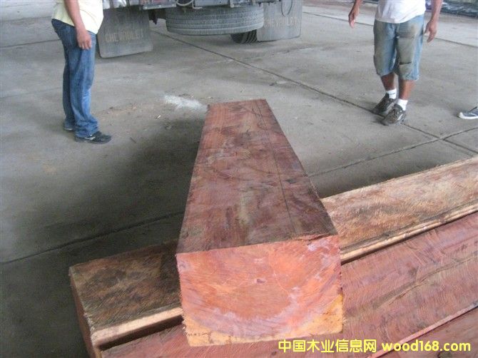 �����ް���֦��Ԕ����B