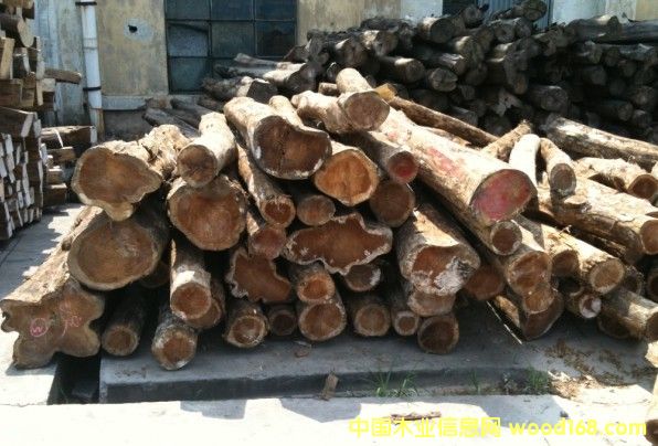 ��������ľ��Ԕ����B