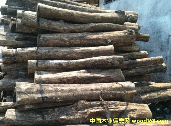 ��������ľ��Ԕ����B