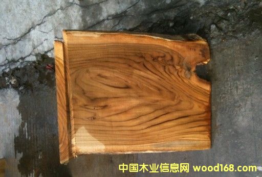 ��������ľ��Ԕ����B