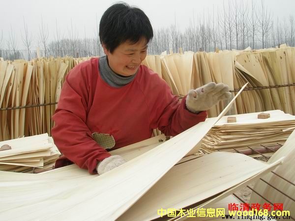 ��ľ��Ƥ��Ԕ��(x��)��B