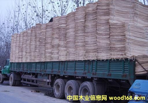 ��ľ��Ƥ��Ԕ��(x��)��B