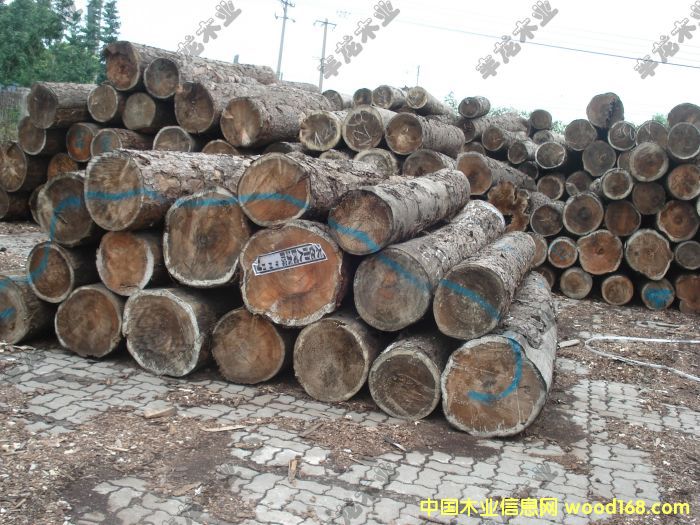 �t��ԭľ��Ԕ����B