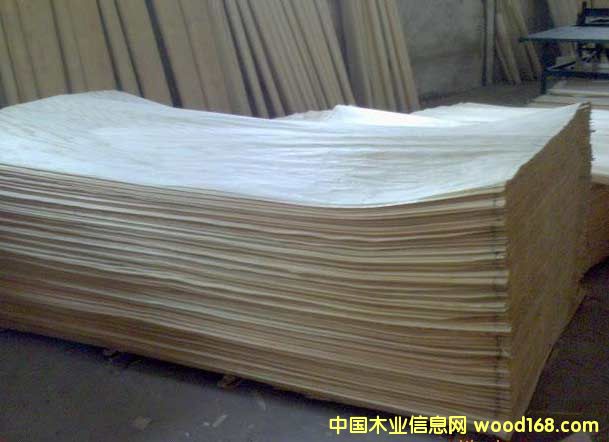 ��������Ƥ5��Ԕ��(x��)��B