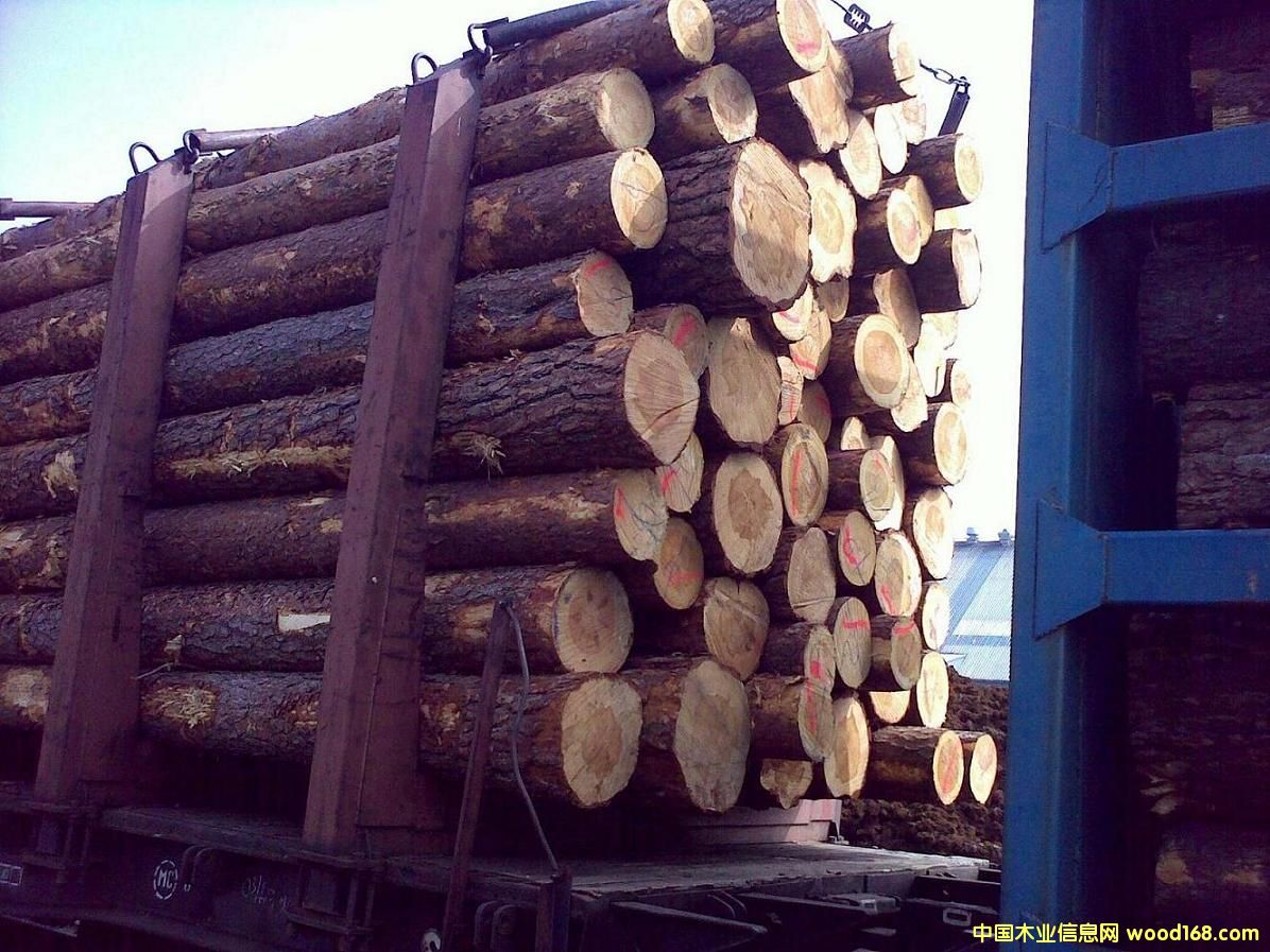 ������������ԭľ��Ԕ����B