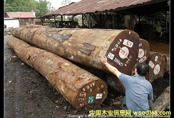 �t�������𡢺����M�ڈ��P��zȫ�״���