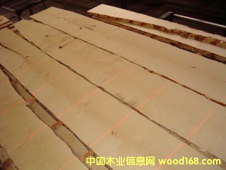 ���_˹��ľ��Ԕ��(x��)��B