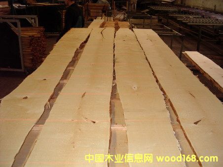 ���_˹��ľ��Ԕ��(x��)��B