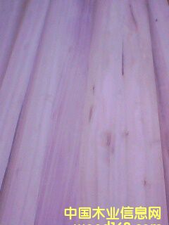 ͩľƴ���Ԕ����B