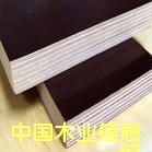 ģ���Ԕ����B