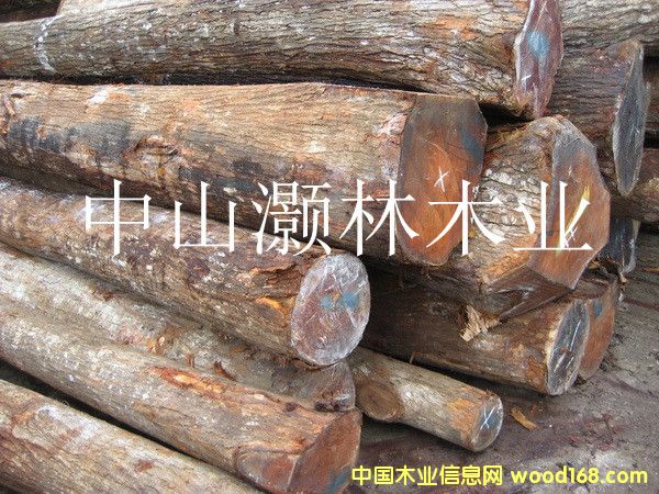 �һ���ԭľ1��Ԕ����B