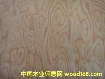 �Ƽ�ľƤ  ��؈��