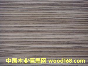 �Ƽ�ľƤ  ���R