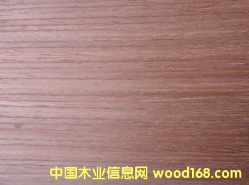 �Ƽ�ľƤ  ����t̴