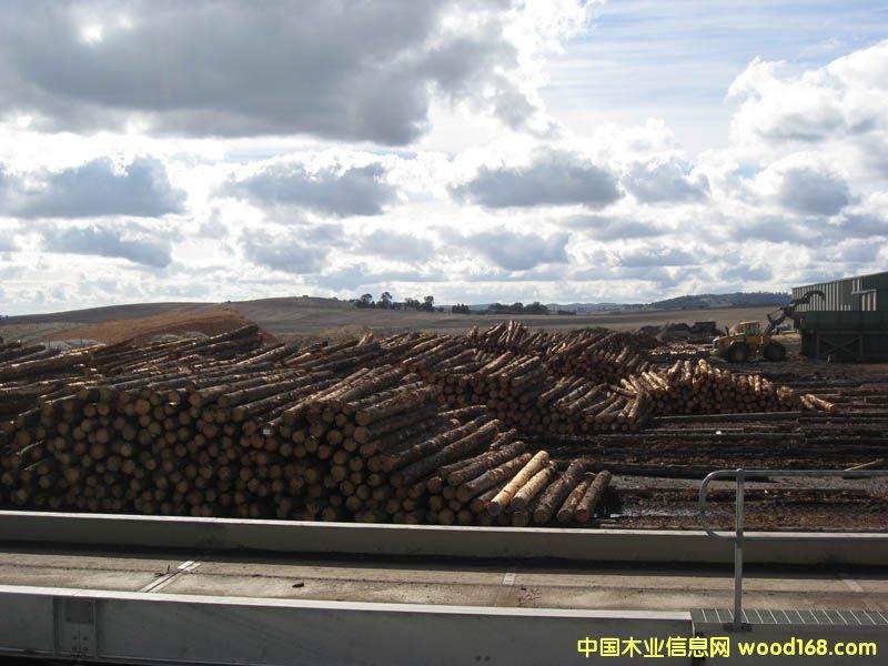 �����mݗ����ԭľ��Ԕ����B