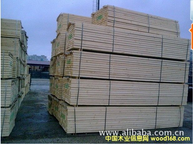 ����(y��ng)���m��ľ���Ҿ�ĵ�Ԕ����B