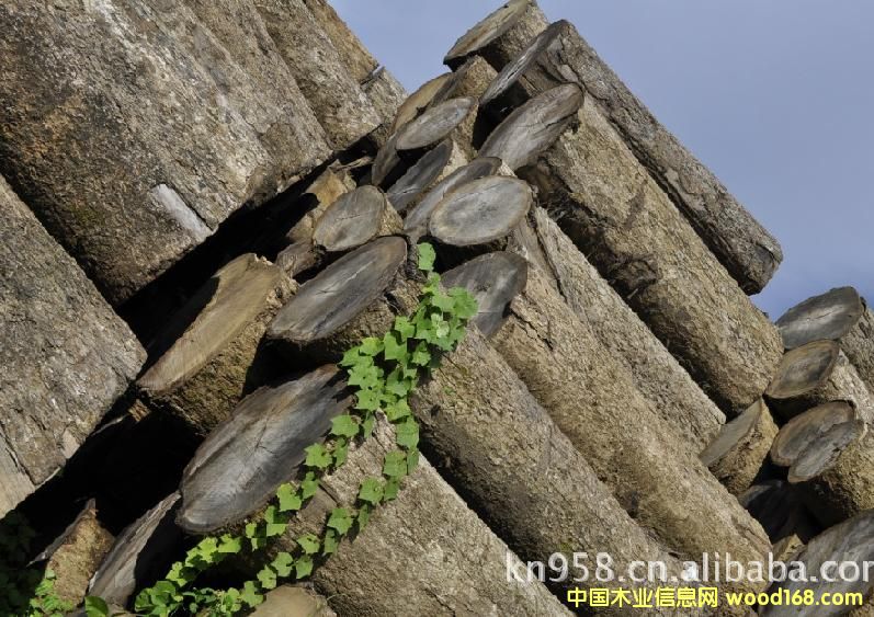 ��z��ԭľ2jpg