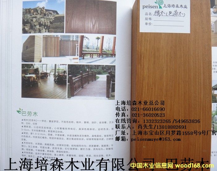 �̈́�ľ��1��Ԕ����B