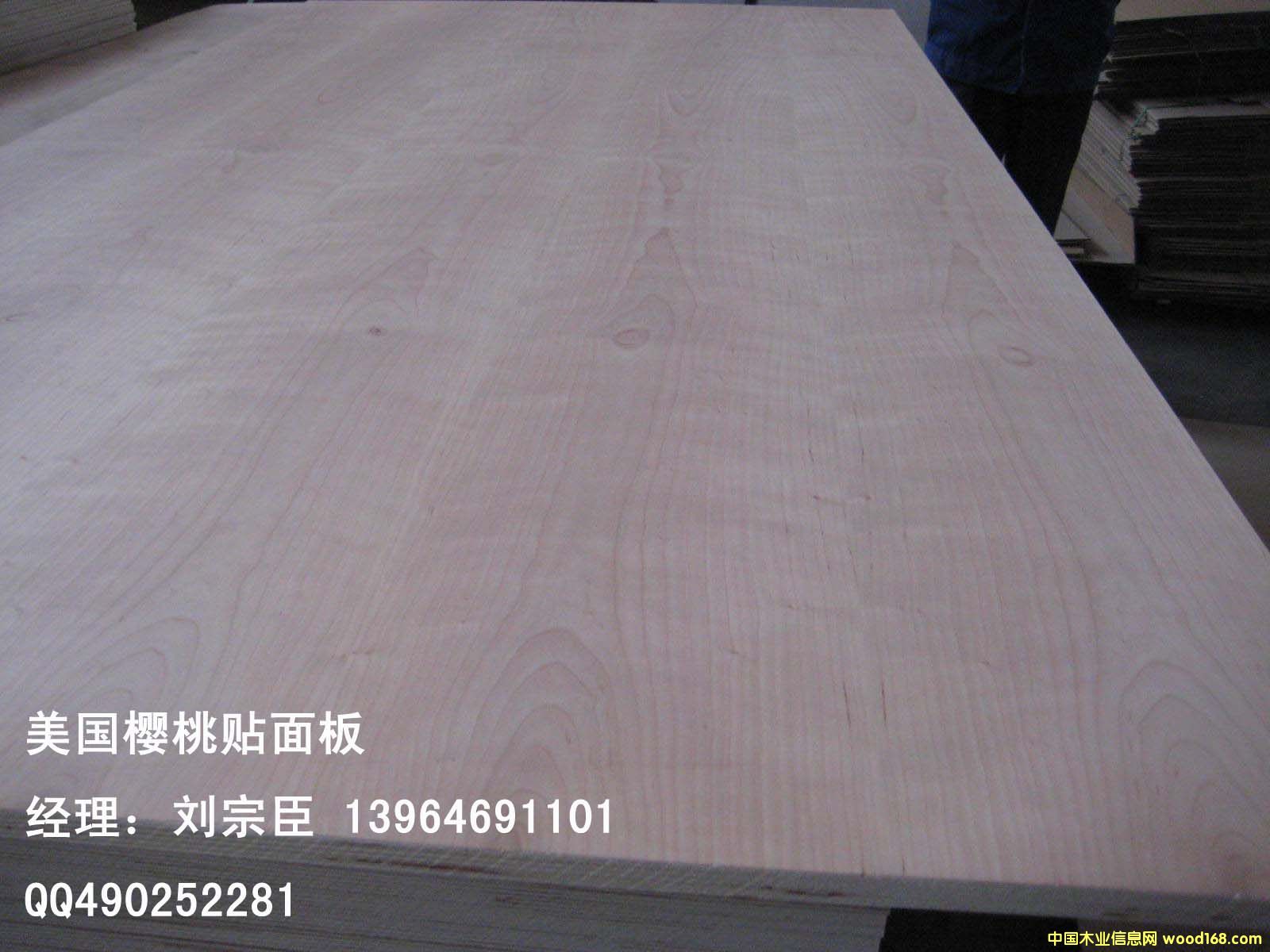 ����ľƤ���Ӱ��Ԕ��(x��)��B