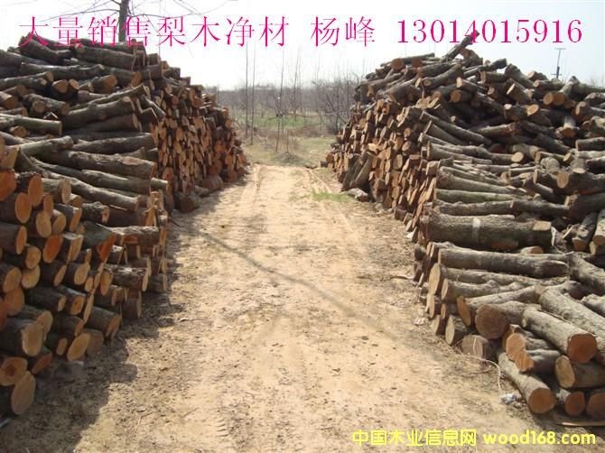 ��ľ���ĵ�Ԕ��(x��)��B