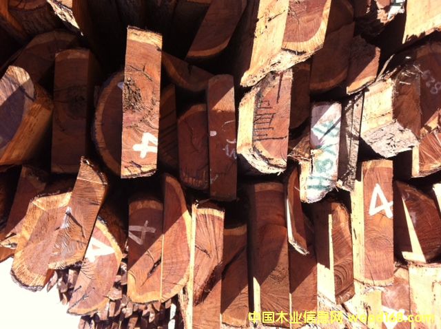 �t�F�����