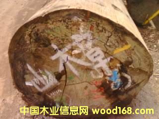 ɽ����Ԕ��(x��)��B