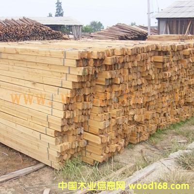 ɼľ����ɼľƴ��