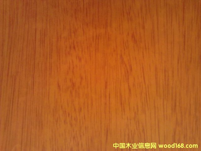 橡木的詳細(xì)介紹