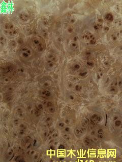 �ח����ľƤ