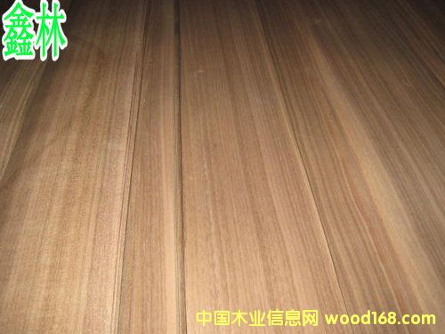 ��Ȼ�ں���ֱ�yľƤ��Ԕ����B