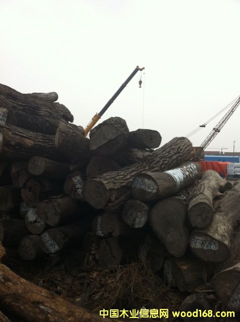 ��(y��u)�|(zh��)�tľԭľ����С�~�t̴��Ԕ��(x��)��B