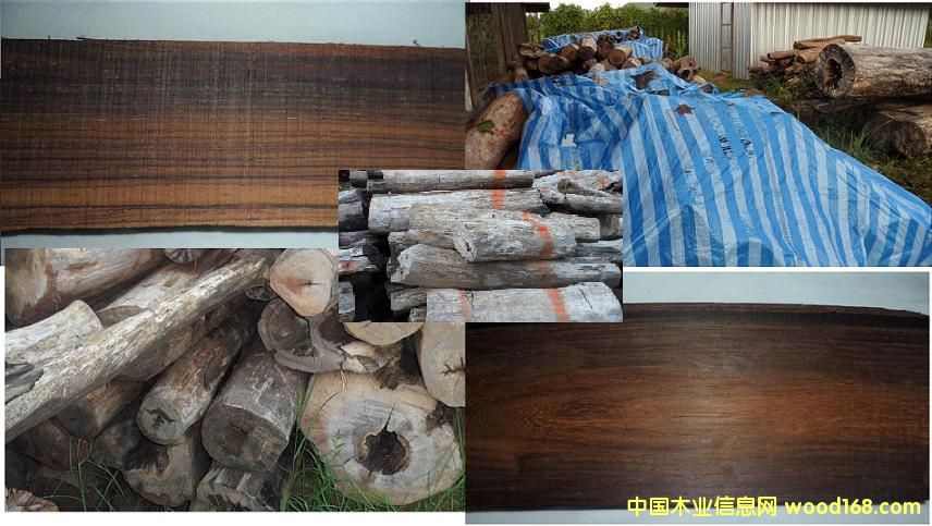 ����(y��ng)- �ϓ���̴ԭľ��Ԕ��(x��)��B