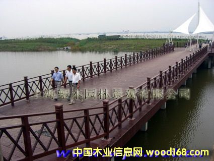 �P(y��ng)�ӽ���ľ���^���Ԕ��(x��)��B