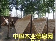 �ӱ���Ƥ�S��Ԕ��(x��)��B