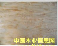 ��Ƥ���a(ch��n)��Ԕ��(x��)��B