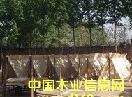 ��Ƥ�S�ҵ�Ԕ��(x��)��B