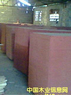 �бP(p��n)���Ԕ��(x��)��B