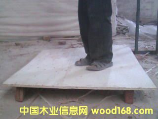 ��о�бP(p��n)���Ԕ��(x��)��B