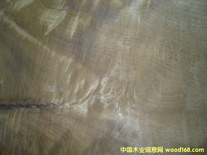 С�~�E骣���z�ľ����Ԕ��(x��)��B