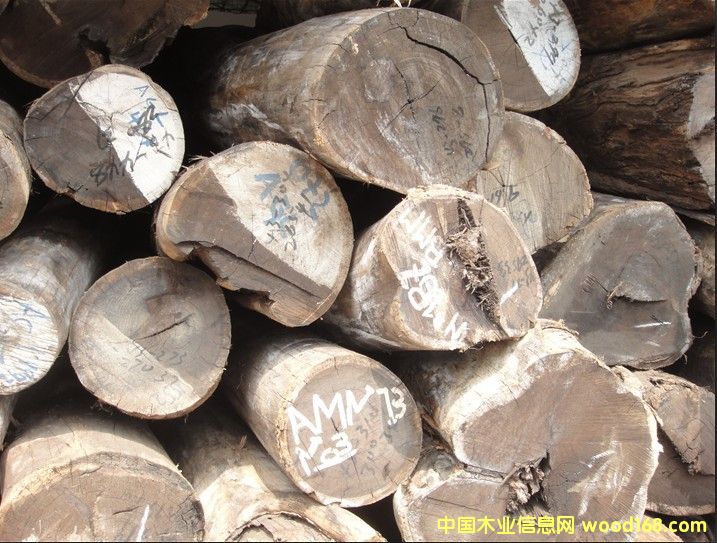 �u��ľ��Ԕ��(x��)��B