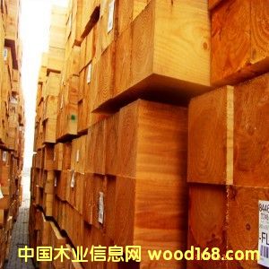 �����ɵ�Ԕ��(x��)��B