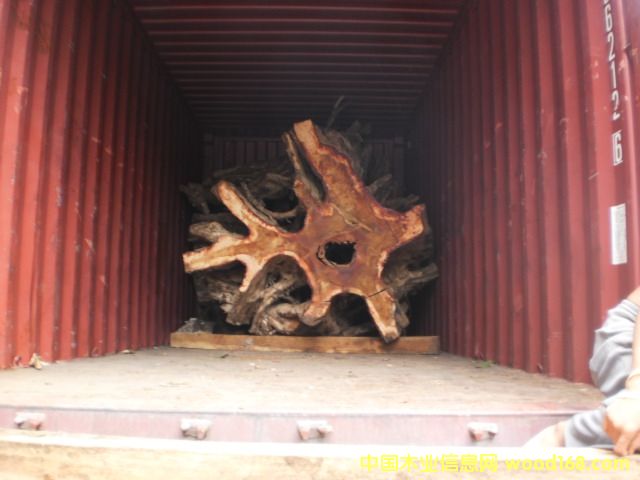 �{����(sh��) Narra ��Ԕ��(x��)��B